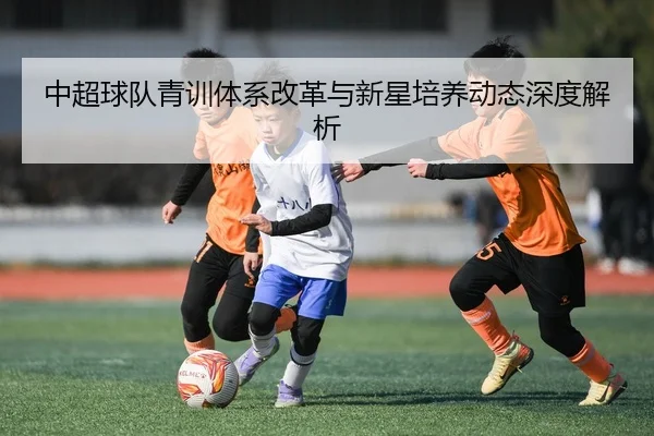 中超球队青训体系改革与新星培养动态深度解析
